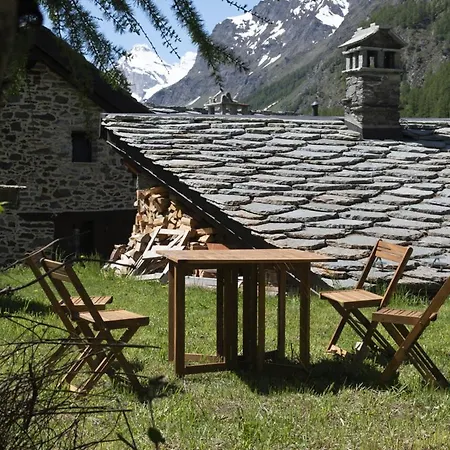 Gran Paradiso Dahu Rebel Rhemes-Notre-Dame