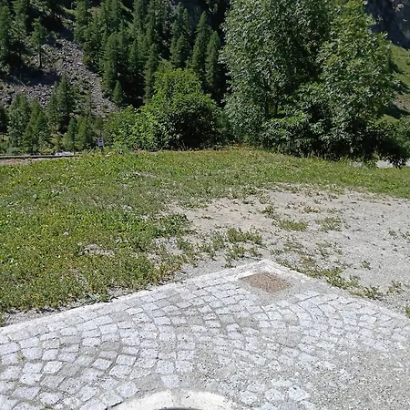 Gran Paradiso Dahu Rebel