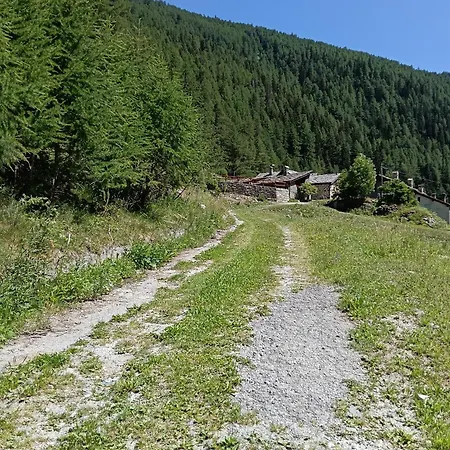 Gran Paradiso Dahu Rebel Apartment *